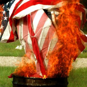 Burning the flag is seen as more dignified than simply throwing it away